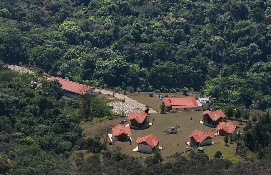 Bosque Dos Beija-flores E
