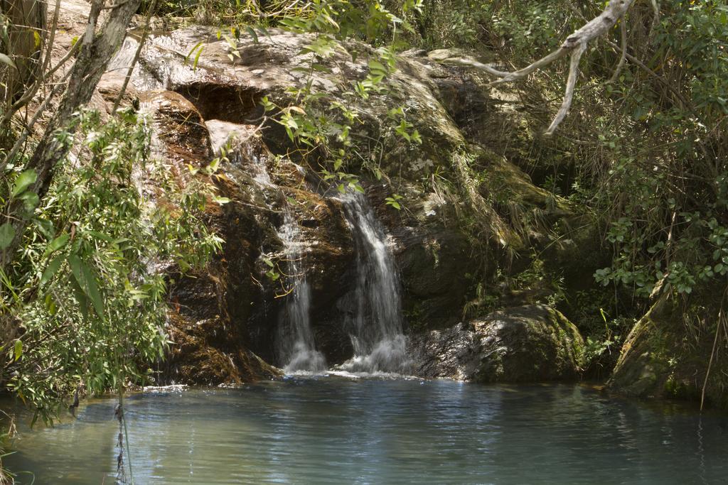 Bosque Dos Beija-flores E