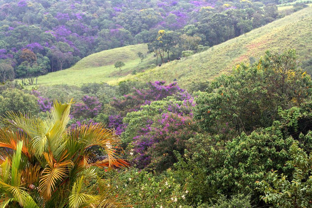 Bosque Dos Beija-flores E São Tomé das Letras